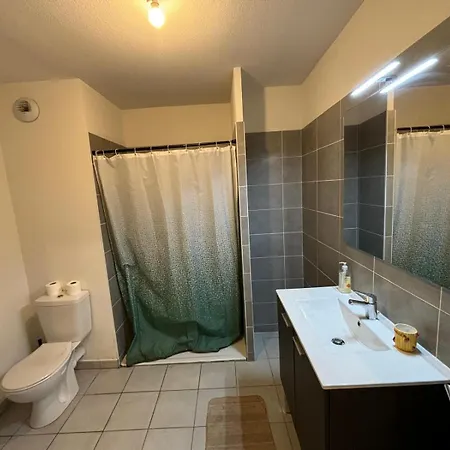 Apartment Duplex A Pour 4 Personnes, Wifi, Parking Et Tramway